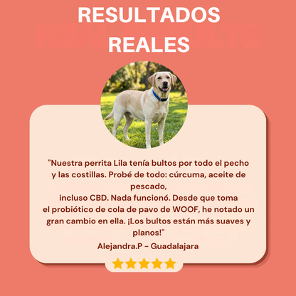 Añade esta mezcla a la comida de tu perro a diario, ¡y verás cómo esos bultos se reducen de forma natural!