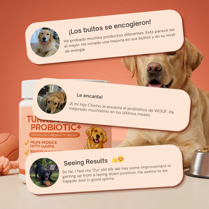 Añade esta mezcla a la comida de tu perro a diario, ¡y verás cómo esos bultos se reducen de forma natural!