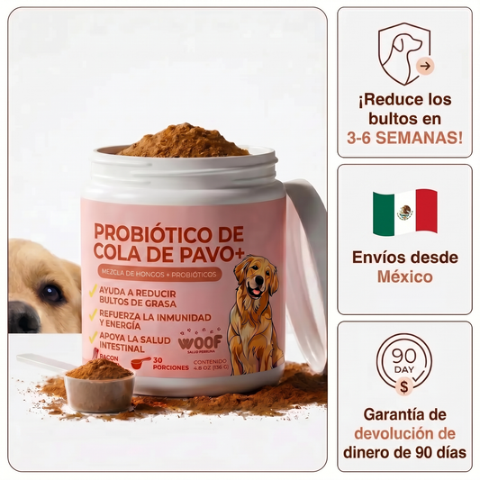 Añade esta mezcla a la comida de tu perro a diario, ¡y verás cómo esos bultos se reducen de forma natural!