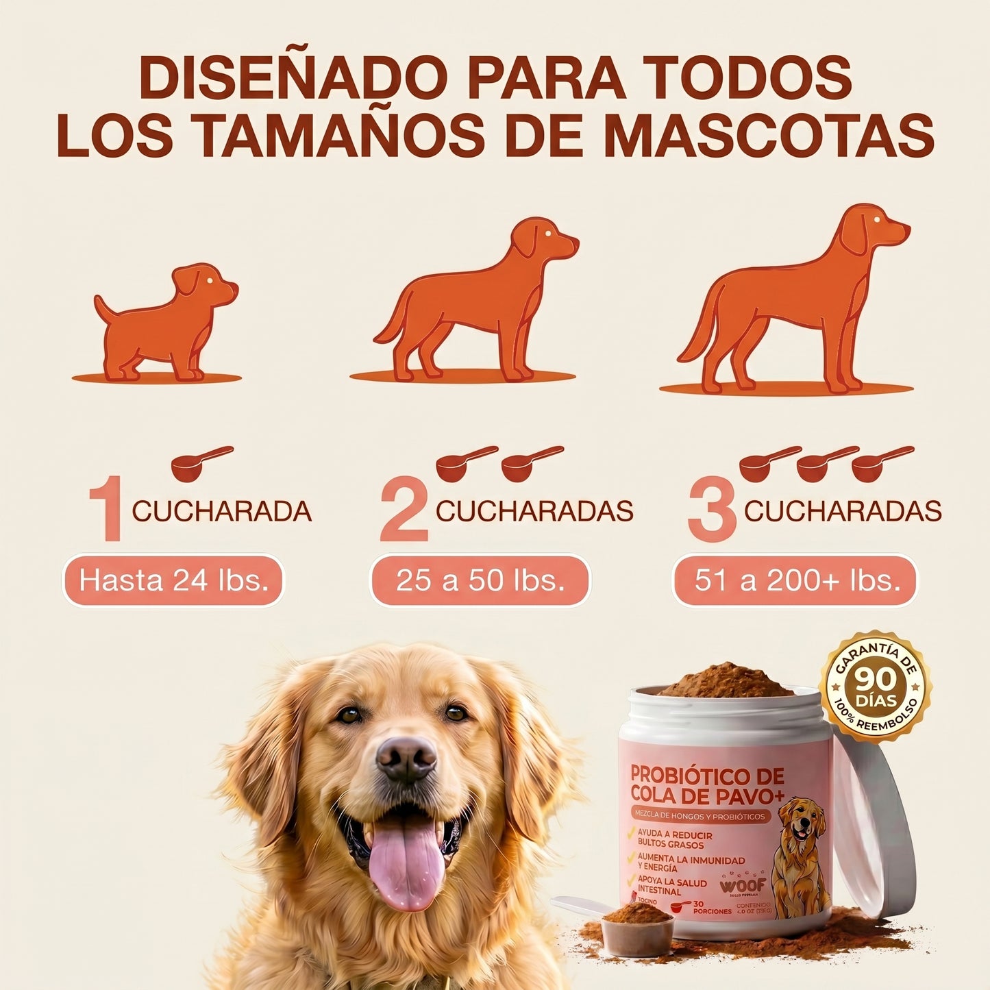 Añade esta mezcla a la comida de tu perro a diario, ¡y verás cómo esos bultos se reducen de forma natural!