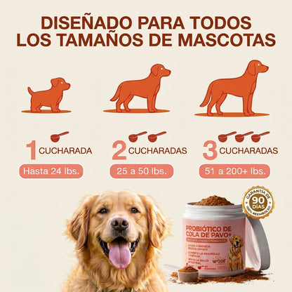 Añade esta mezcla a la comida de tu perro a diario, ¡y verás cómo esos bultos se reducen de forma natural!